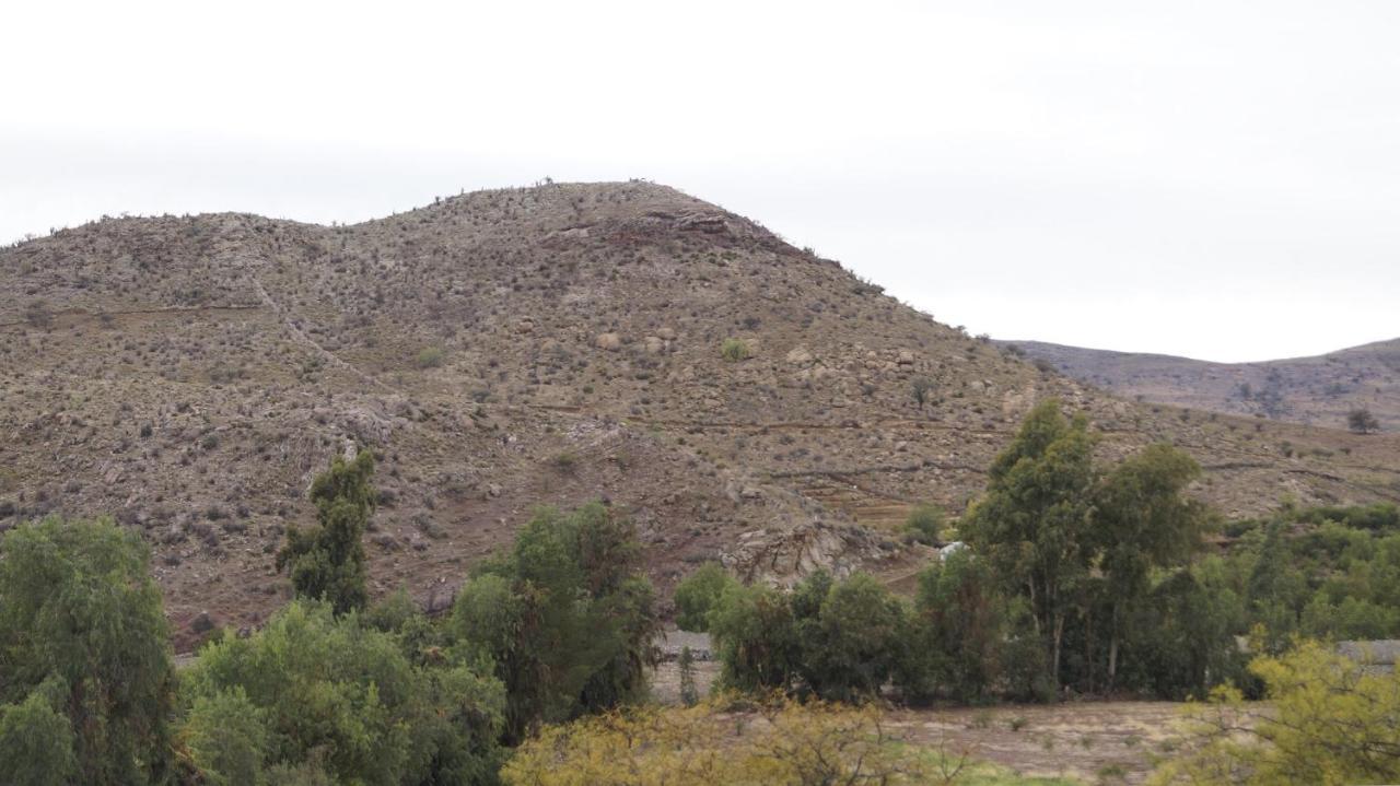 Hostal Villa Lo Araya Combarbala Dış mekan fotoğraf