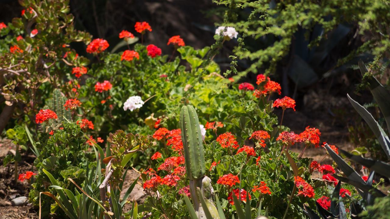 Hostal Villa Lo Araya Combarbala Dış mekan fotoğraf